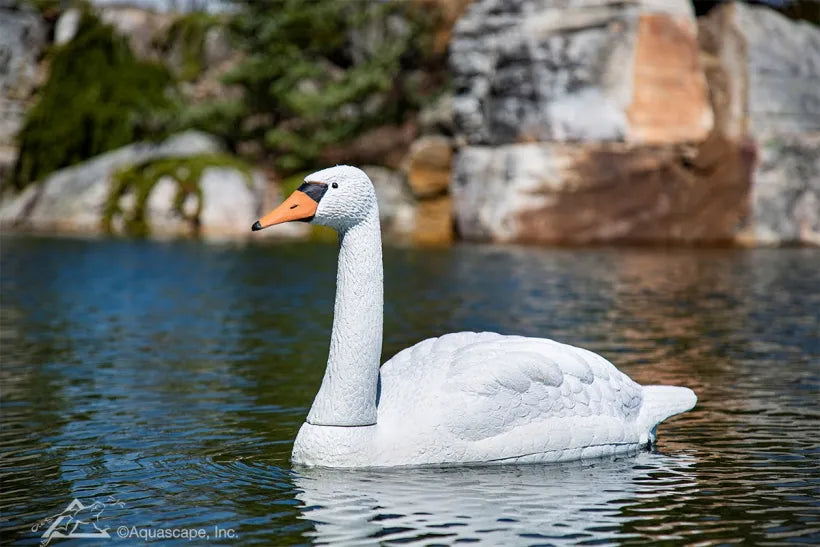 Señuelo de cisne flotante