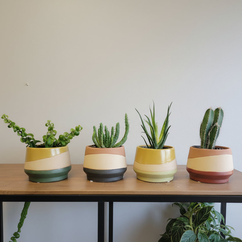 Jardinera Mirage
