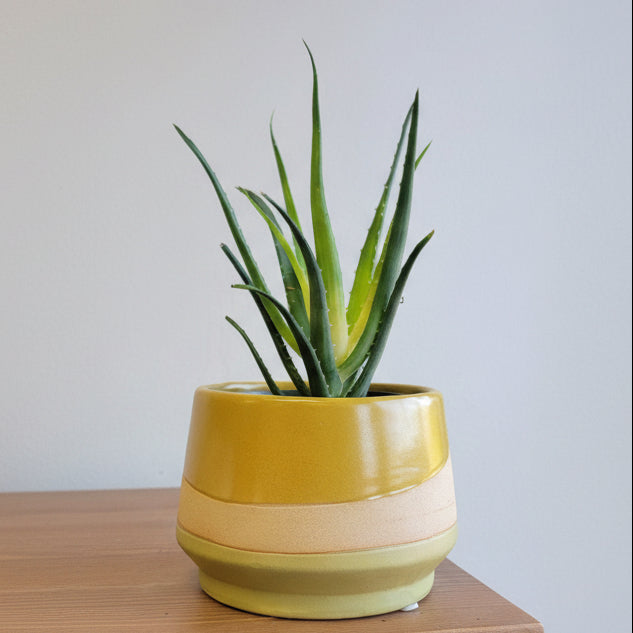 Jardinera Mirage