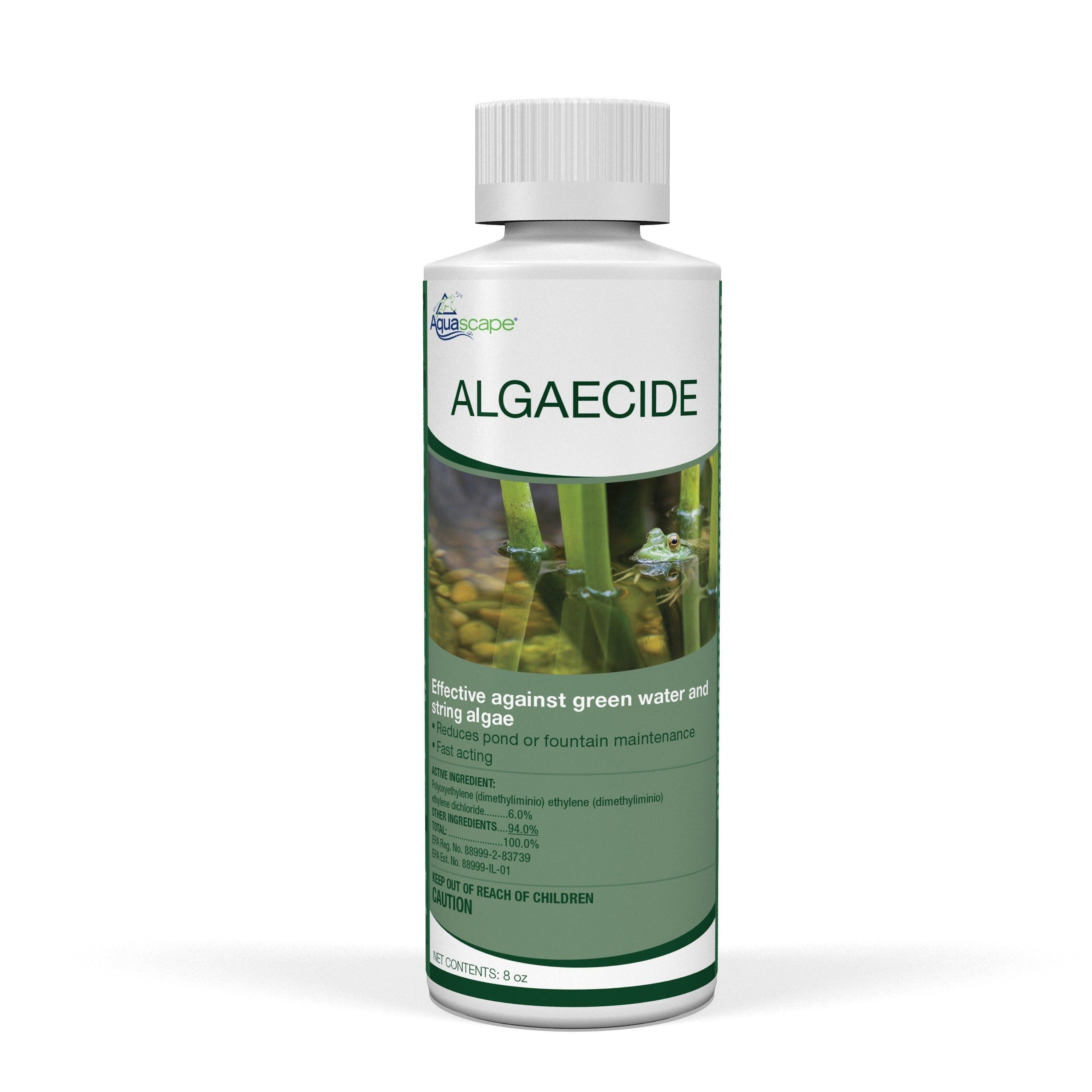 alguicida