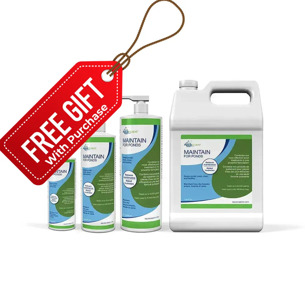 Mantener para estanques