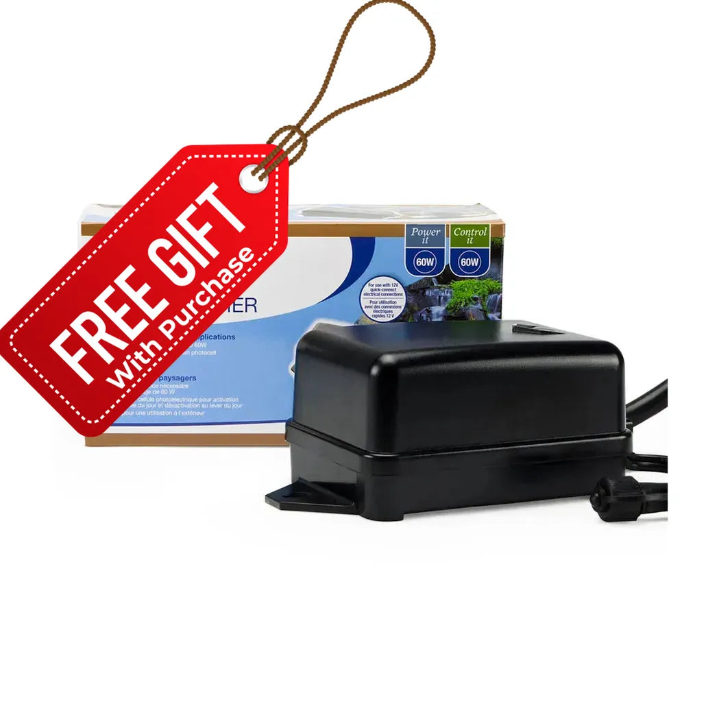 Transformadores de estanques y paisajes con fotocélula