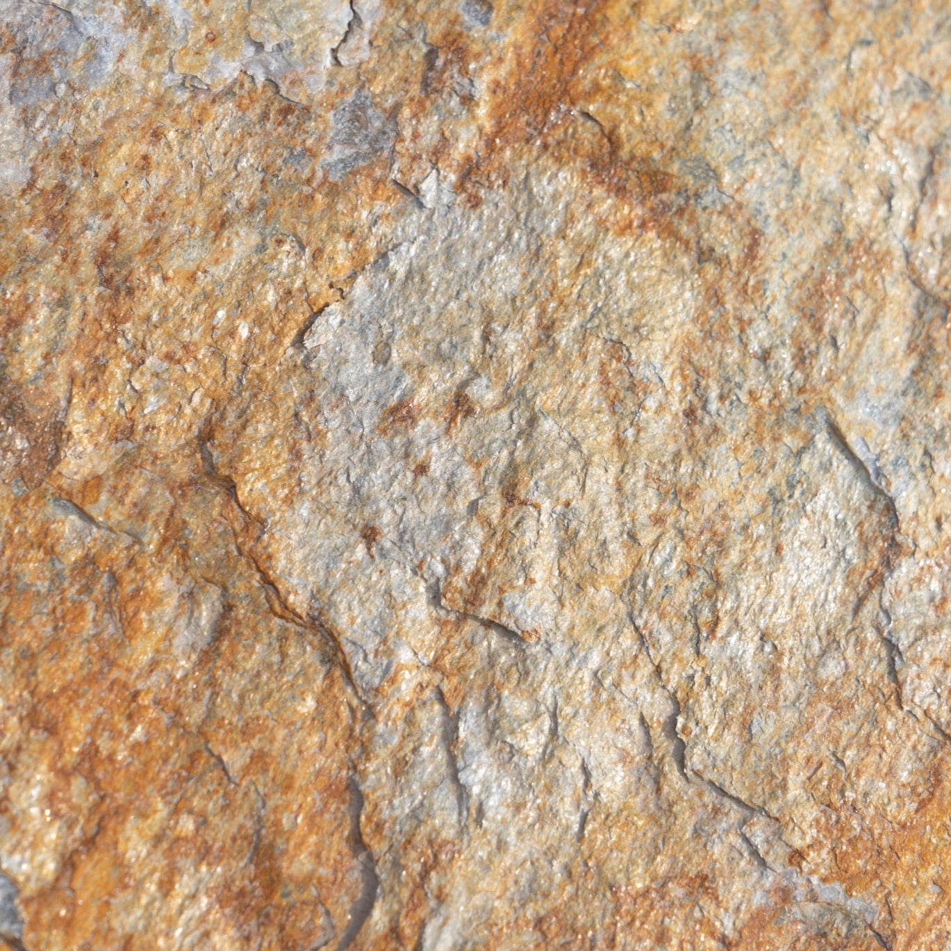 Autumn Gold Flagstone