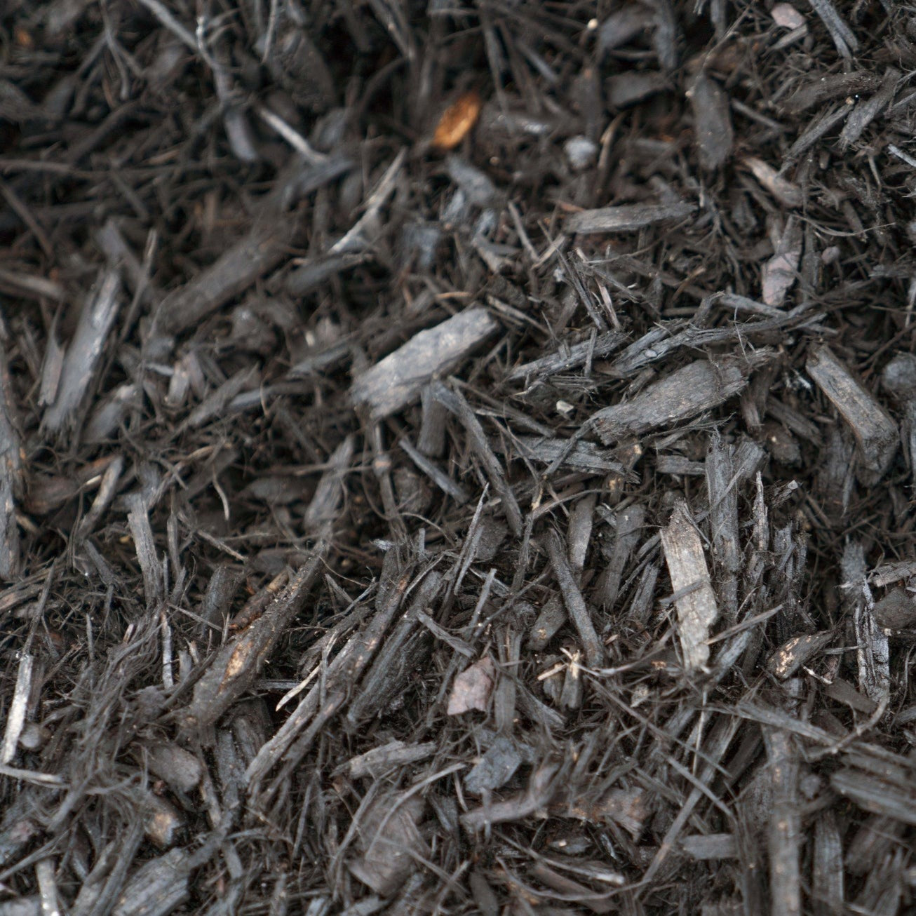 Wood Mulch