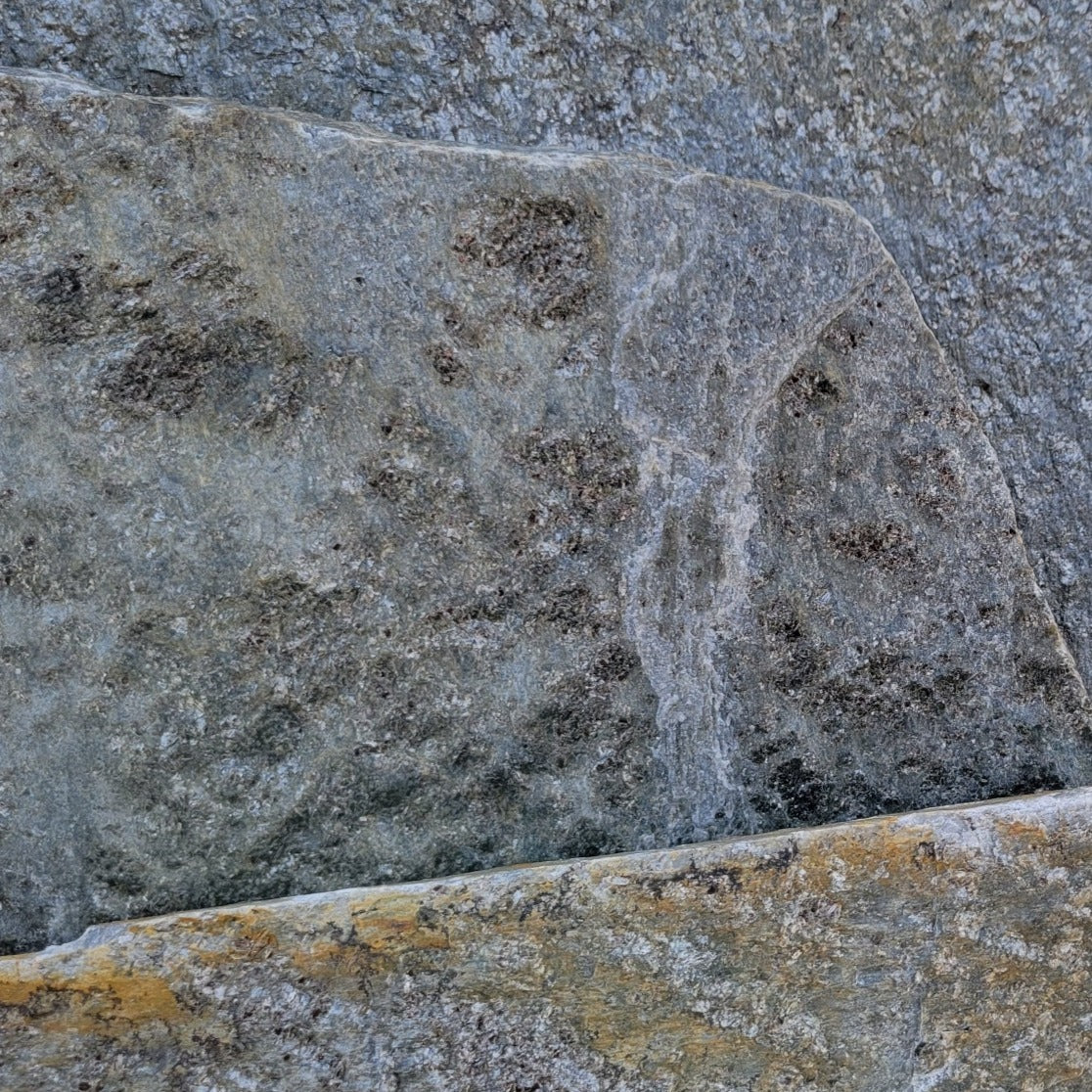 Mesquite Charcoal Flagstone