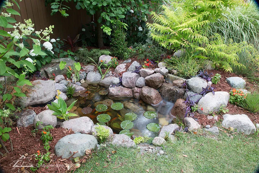 Kit de estanque para jardín trasero de 6' x 8' con bomba para estanque EcoWave 2000