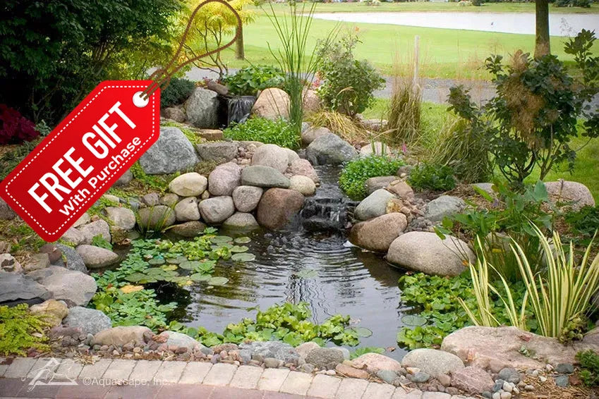 Kit de estanque pequeño de 8' x 11' con bomba Aquasurge 3000