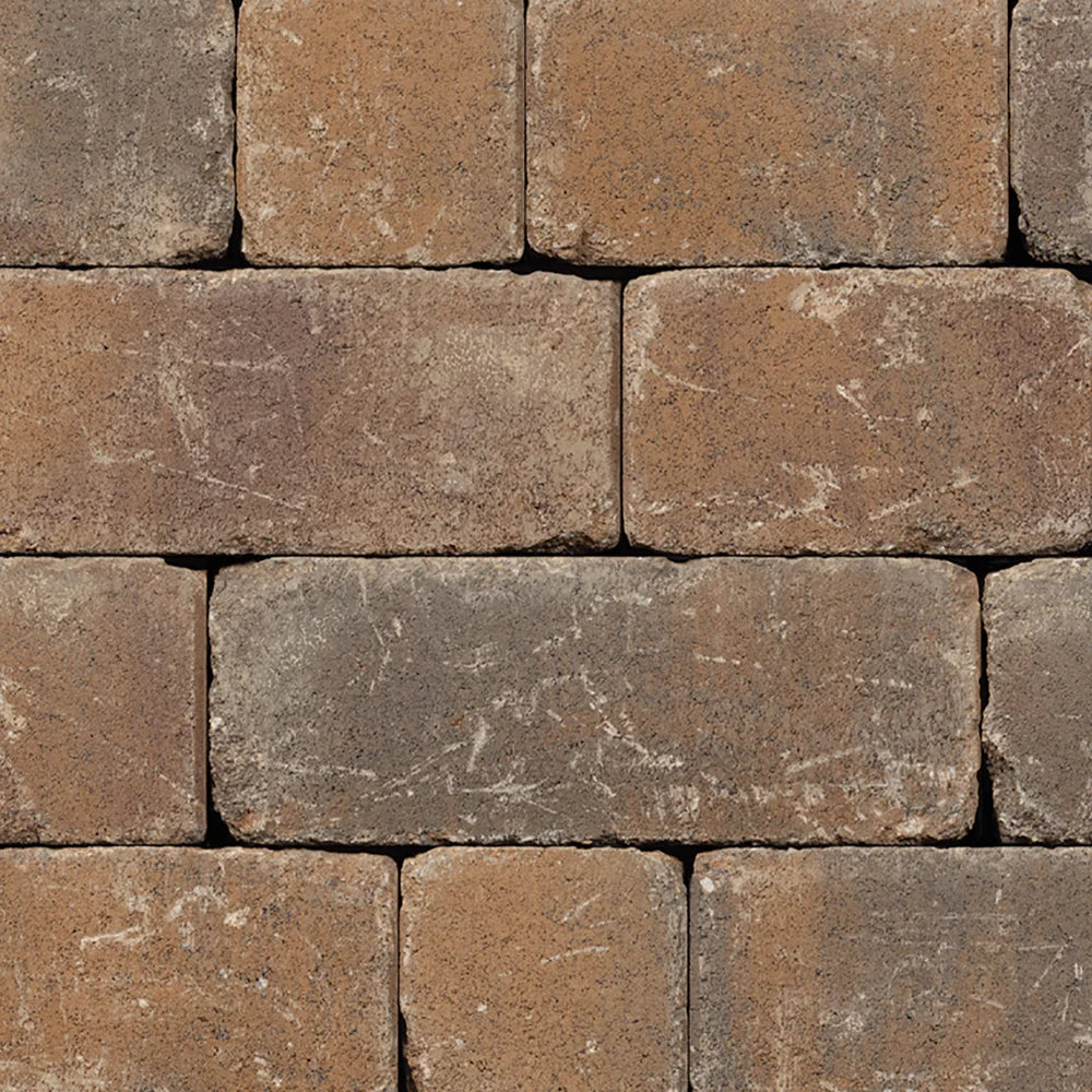 La pared de Shelton cayó