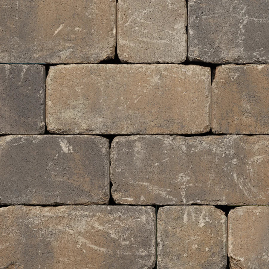 La pared de Shelton cayó