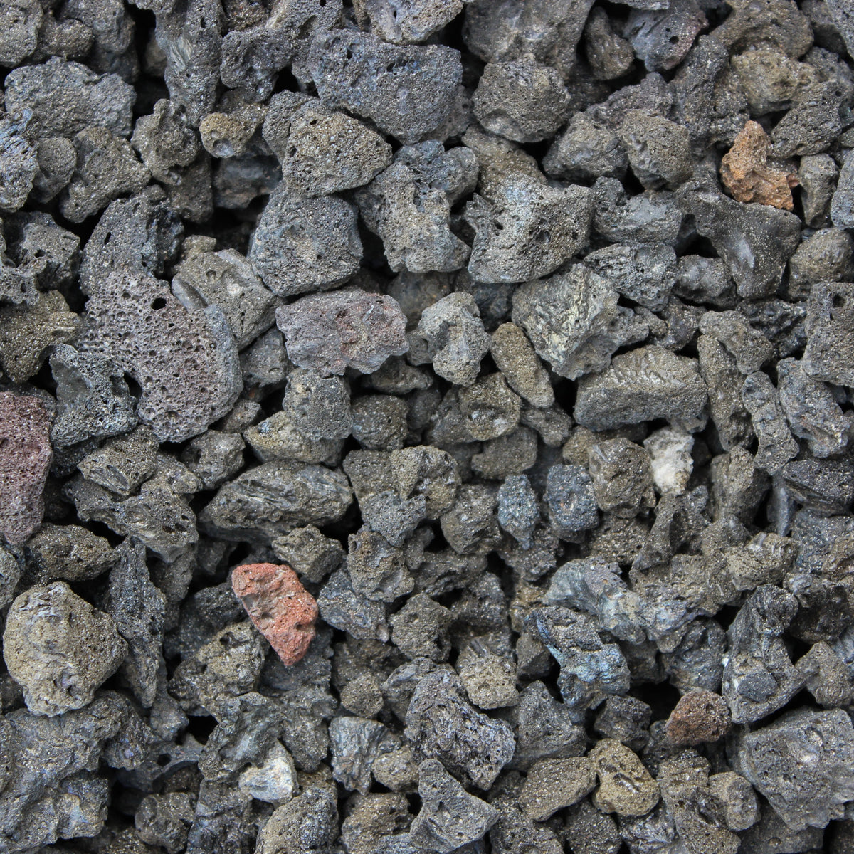 Black Lava