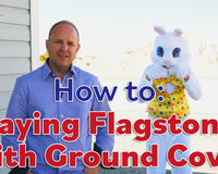 How to lay Flagstone with Ground Cover