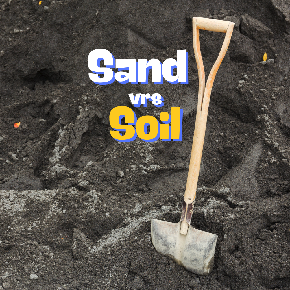 Sand versus Soil: What Do You Need For Your Garden?