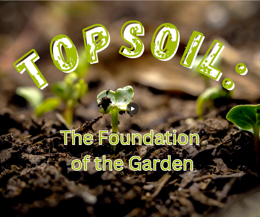 Topsoil: the Foundation of Your Garden