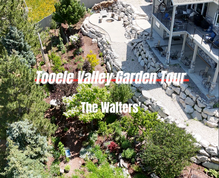 2025 Tooele Valley Garden Tour: How to get the look of the Walters Yard