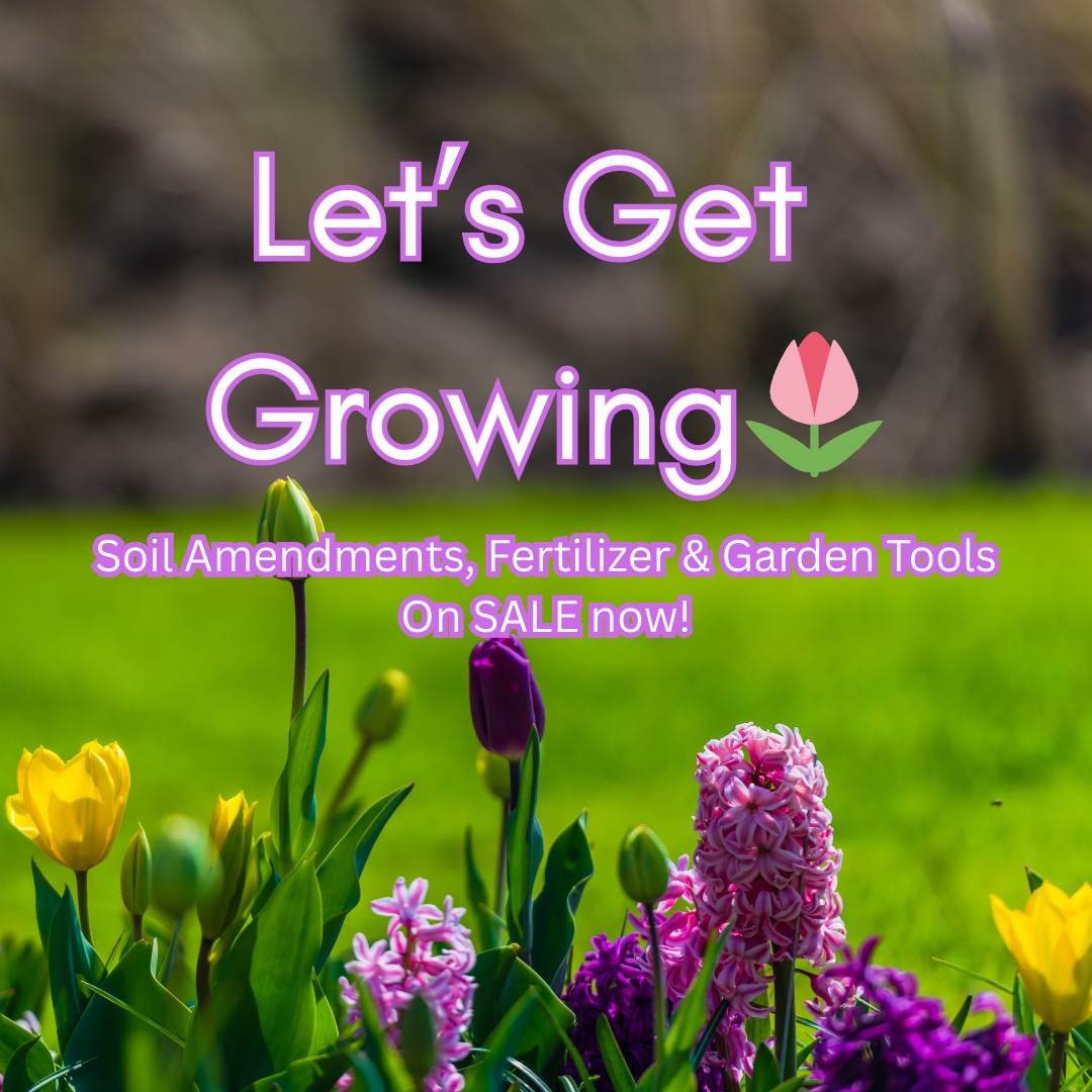 Let's get growing
