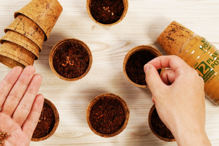 Seedling & Nursery Supplies