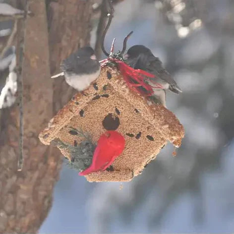 Feed and house the birds