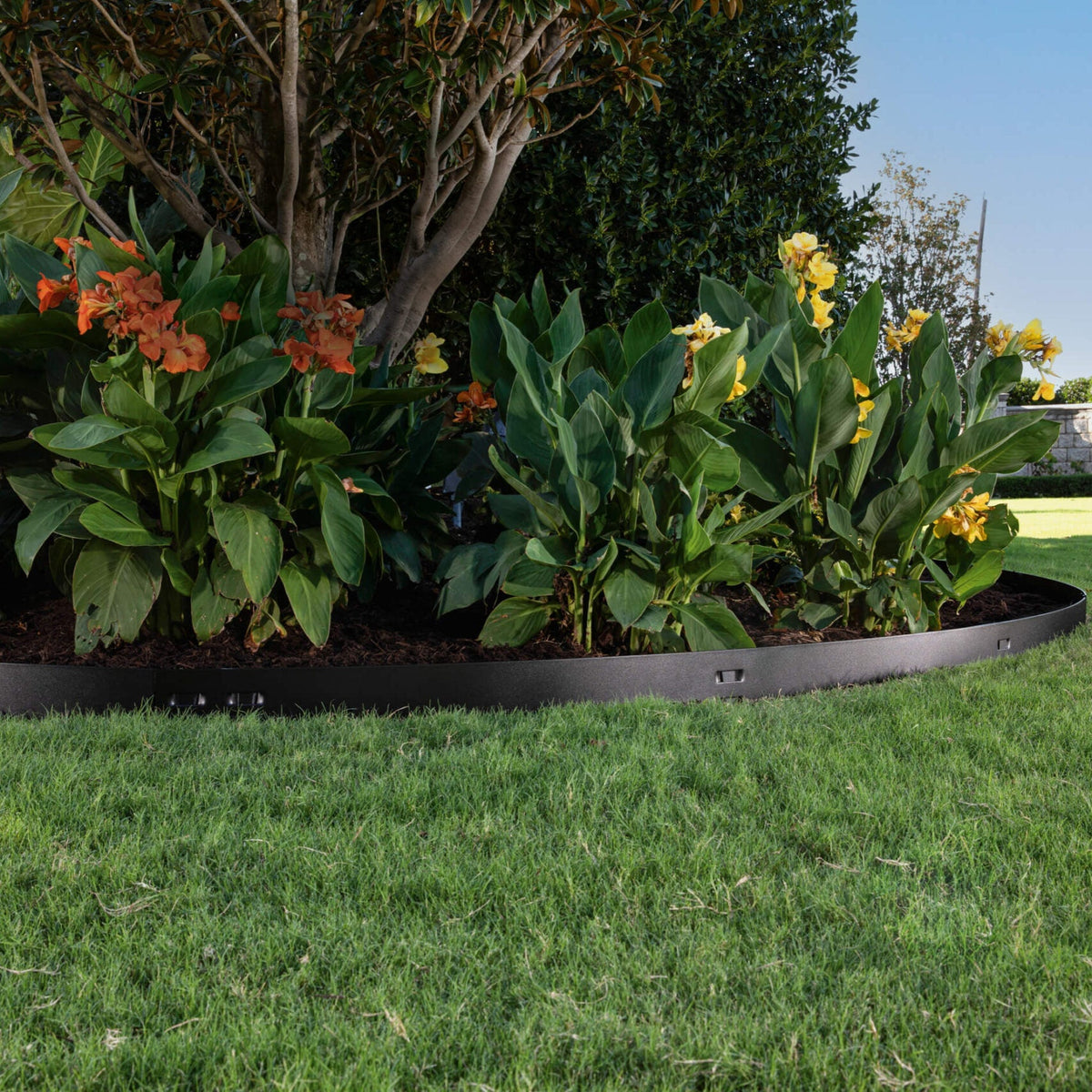 Steel landscape edging in a garden bed