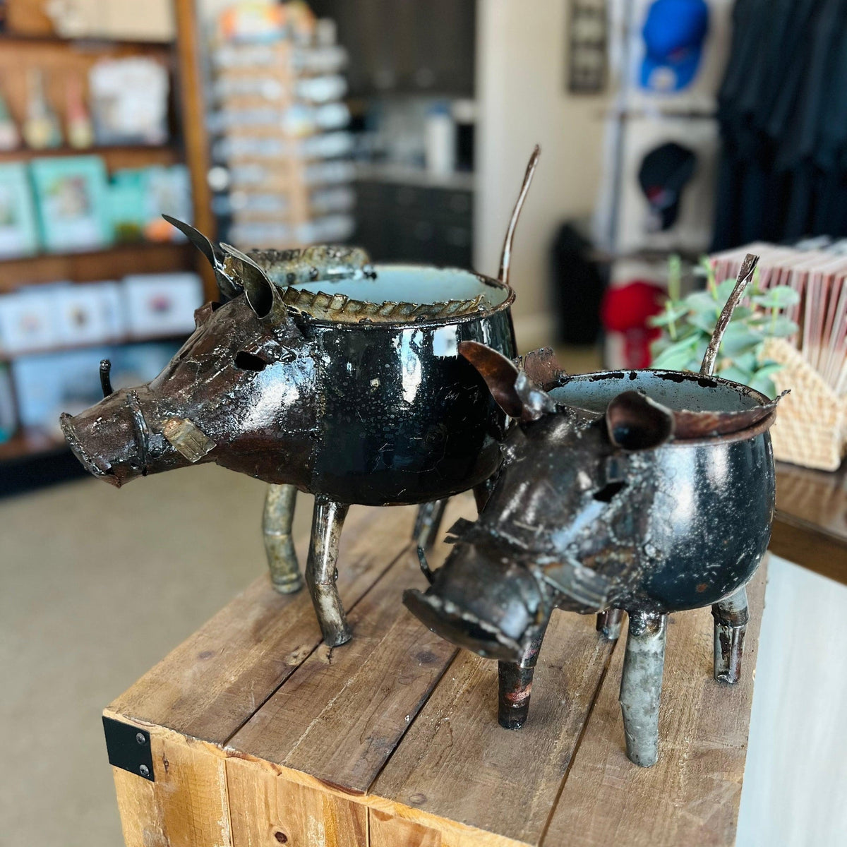 Recycled cook pot wart hog planters