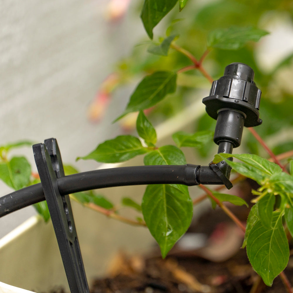 Drip Irrigation