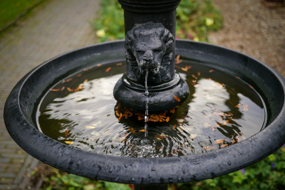 Lion head garden wall fountain