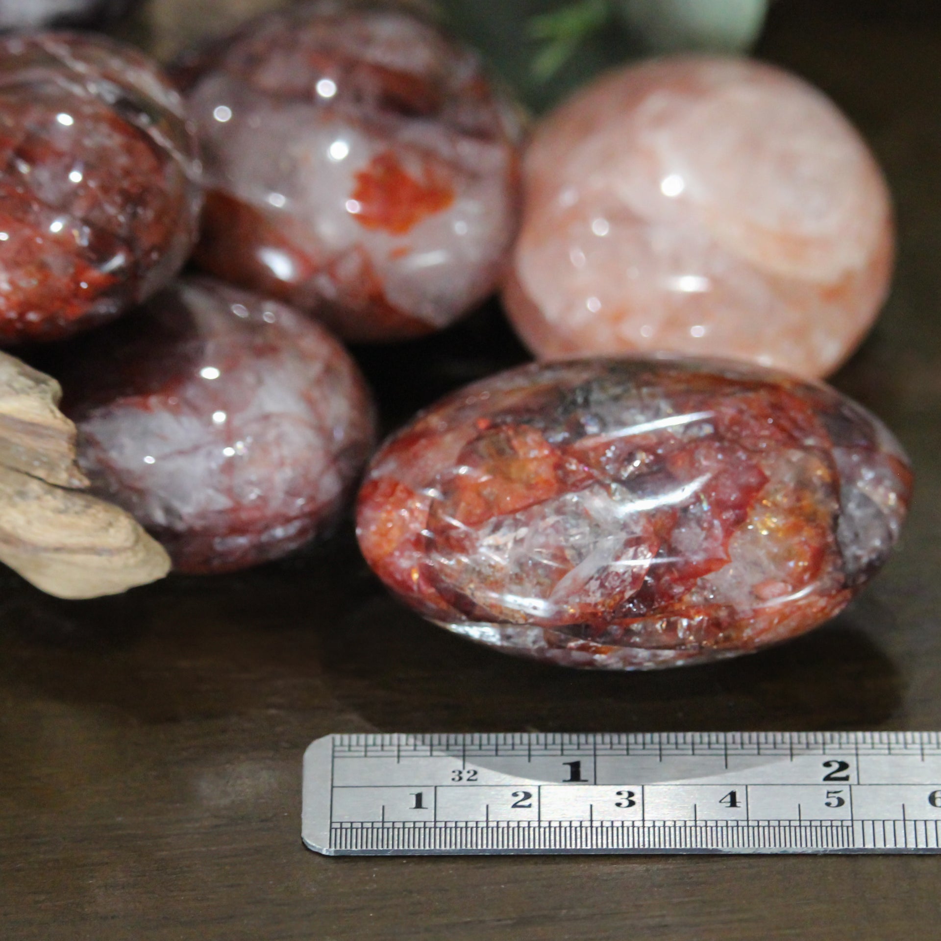 Petrified Wood Palm Stone