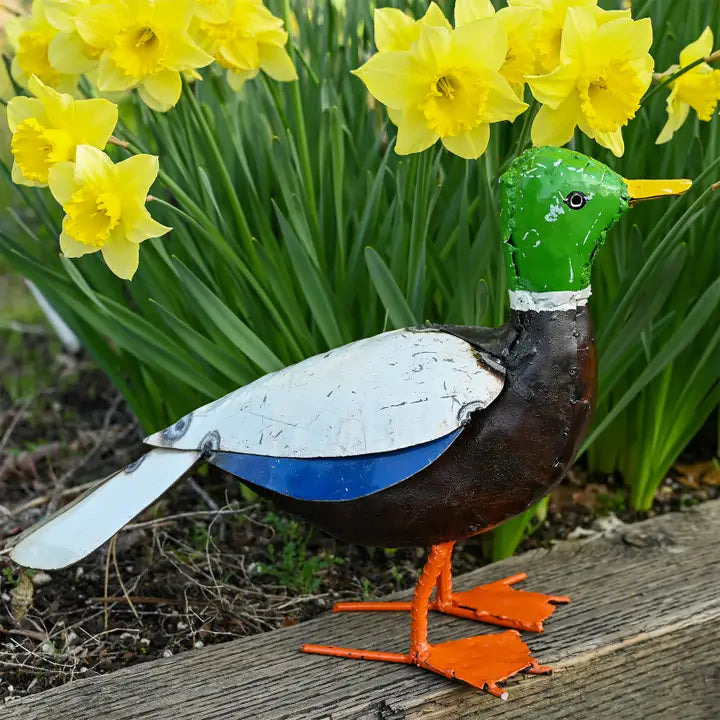 Mallard Duck Recycled Metal Sculpture Garden Art