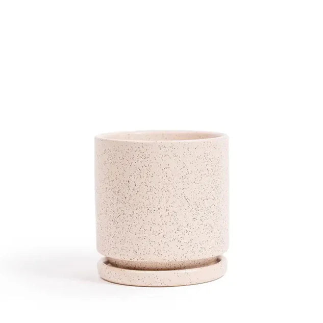 4.5" Gemstone Cylinder Pots with Water Saucers