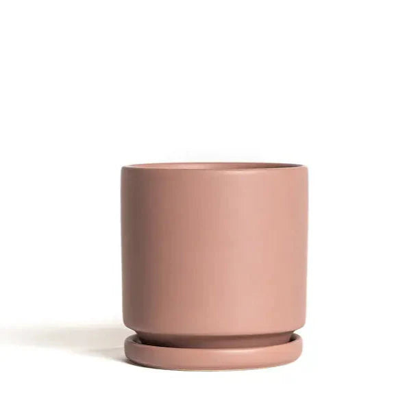 4.5" Gemstone Cylinder Pots with Water Saucers