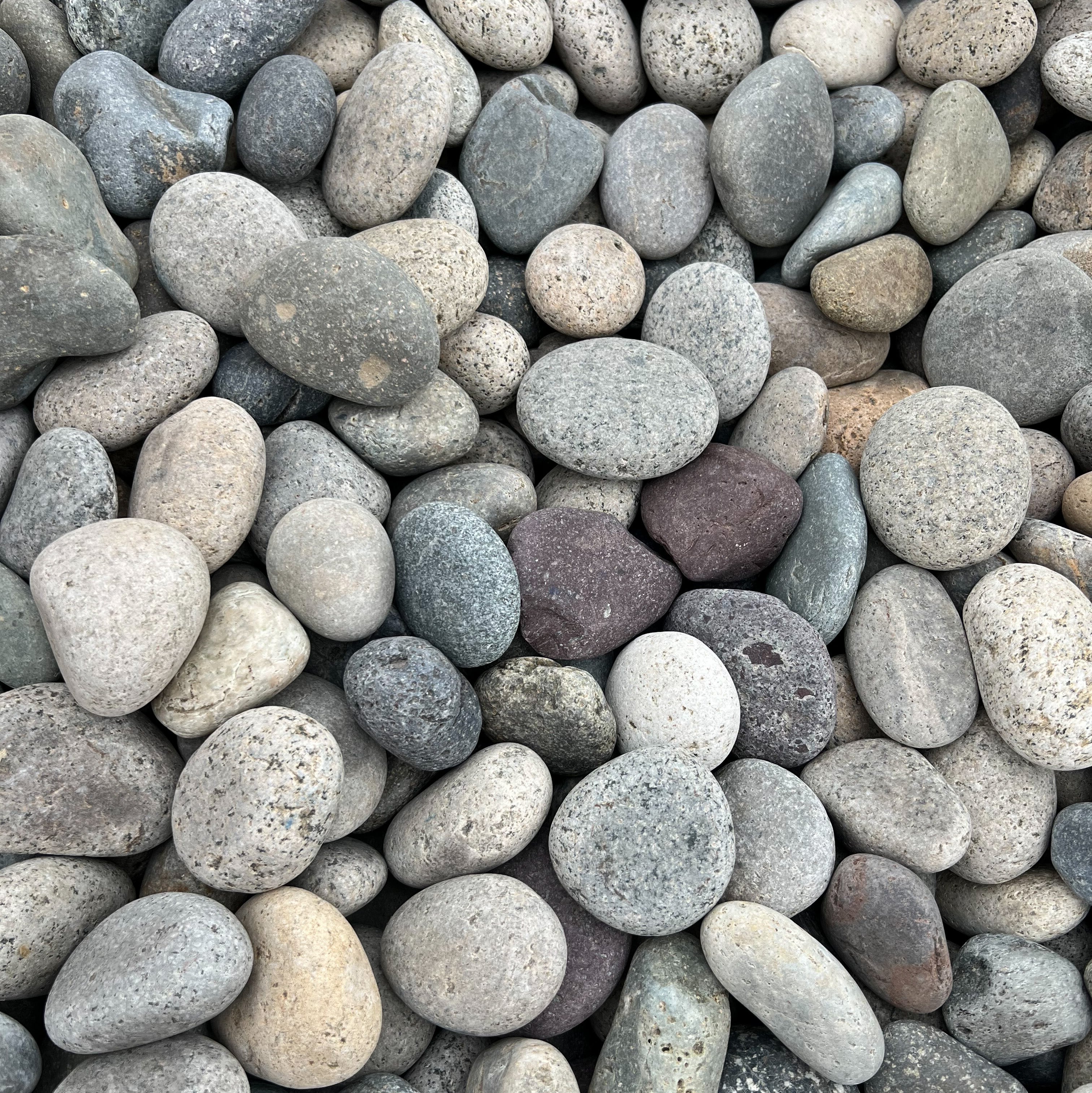 Mixed Mexican Beach Pebbles