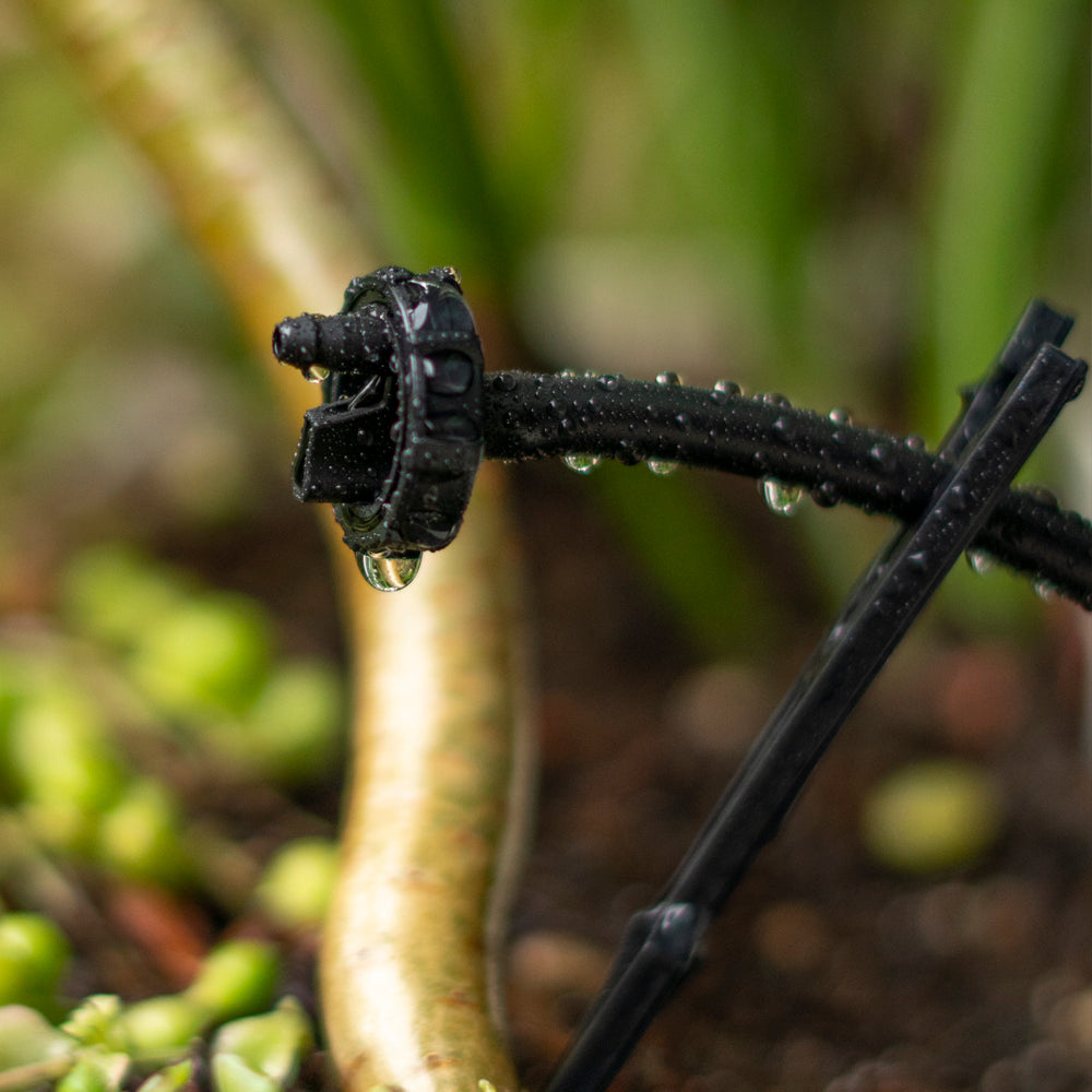 Button Drip Emitters - 1 GPH & 2 GPH