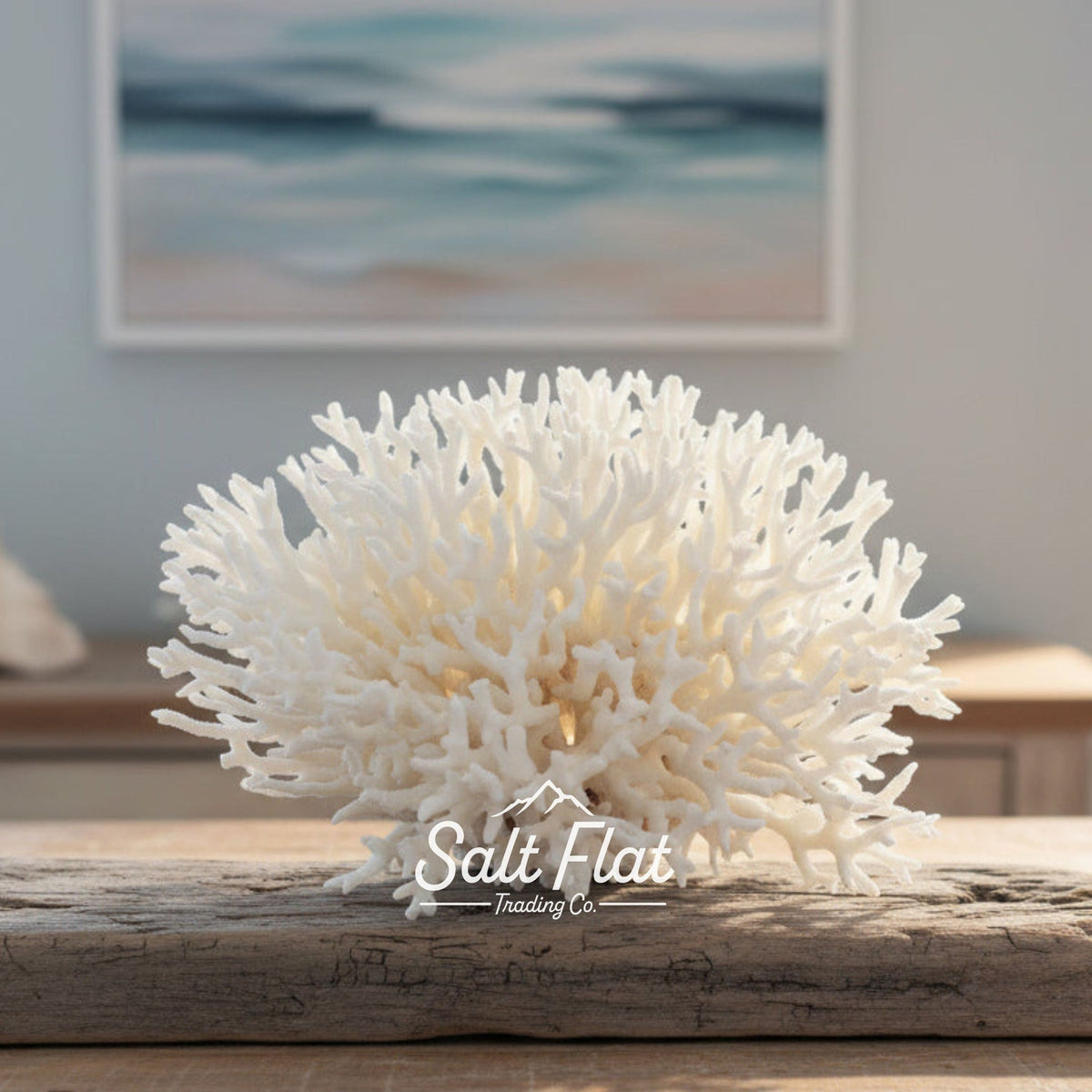 Birdsnest Coral 10-12"