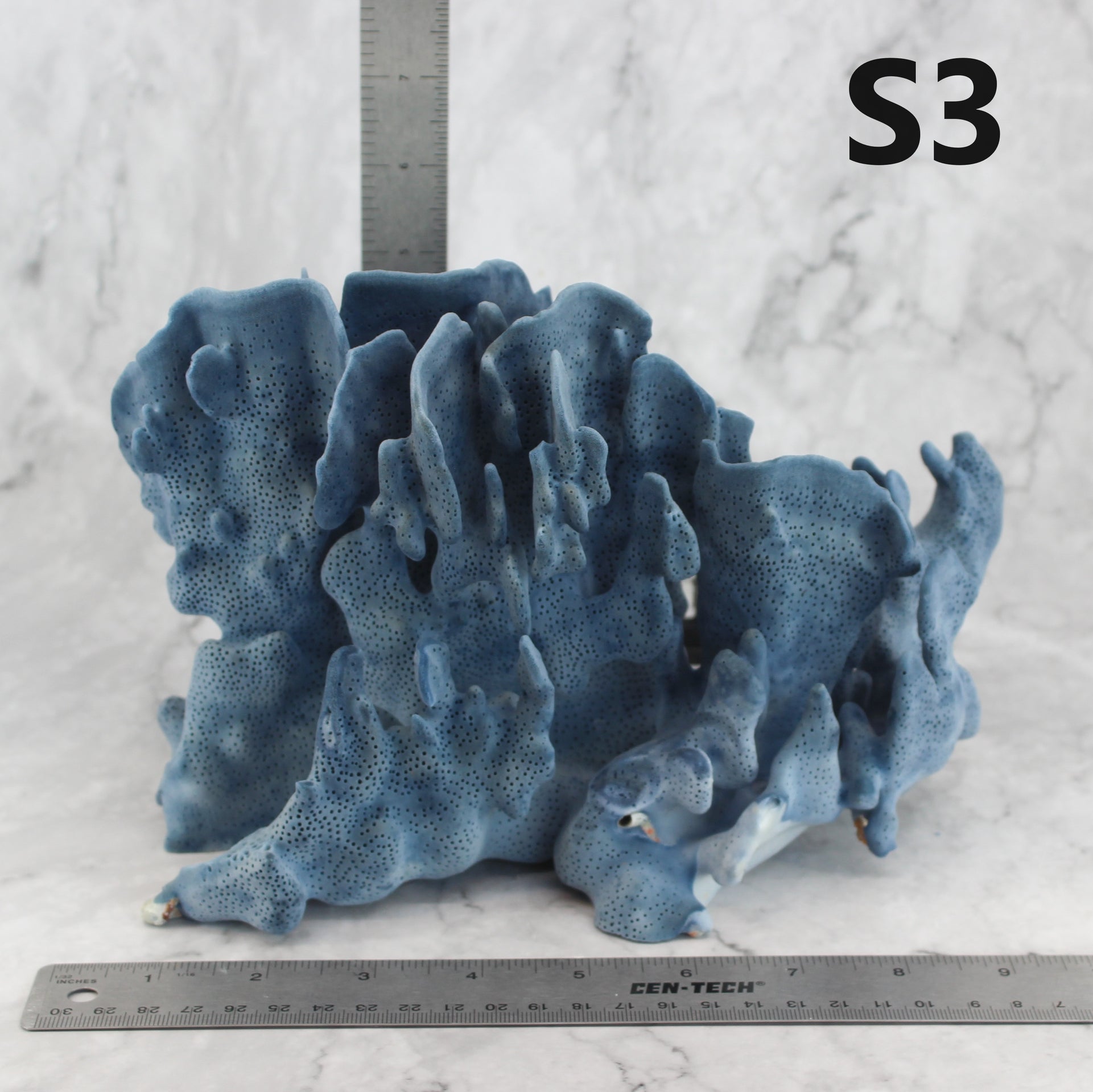 Coral azul 10-12"