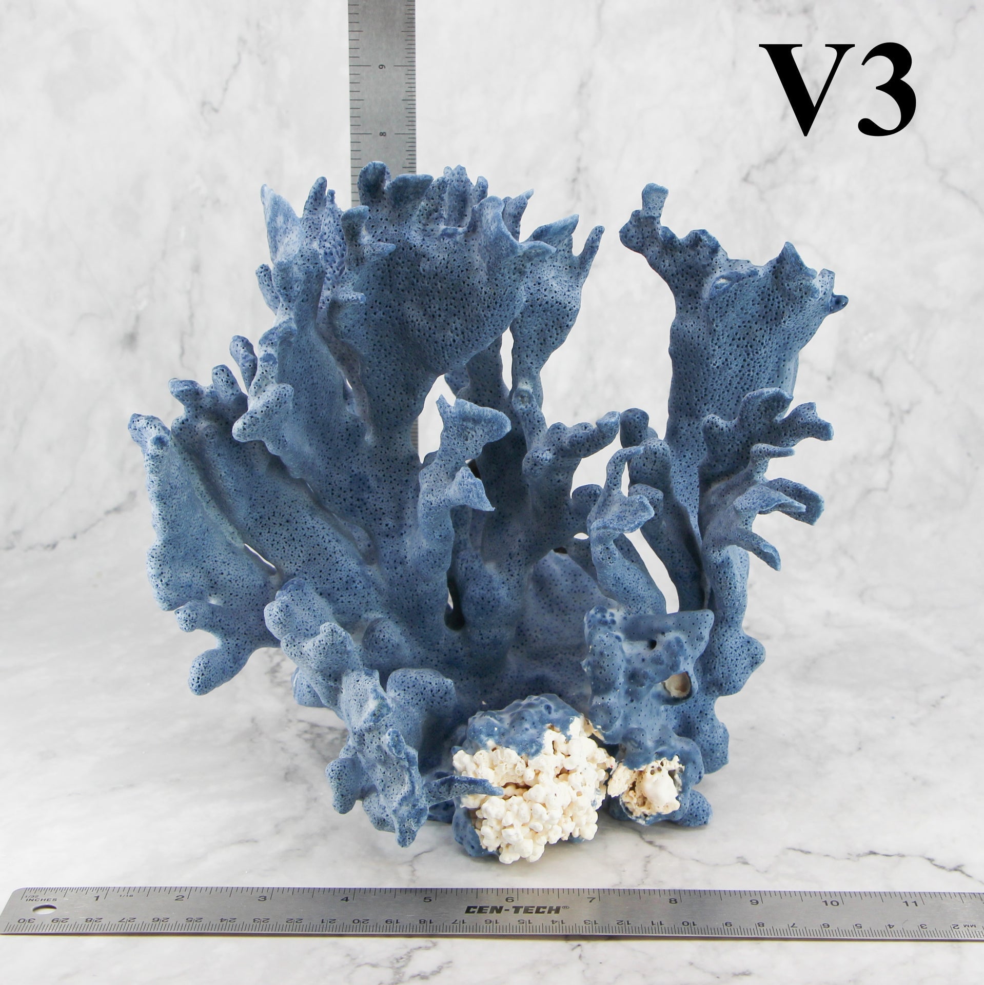 Coral azul 10-12"