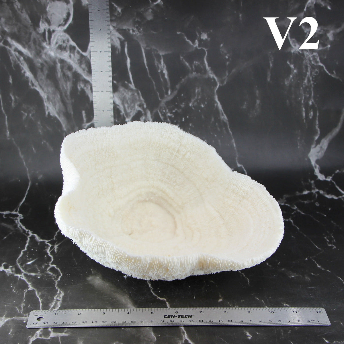 Coral Bowl 10-12"