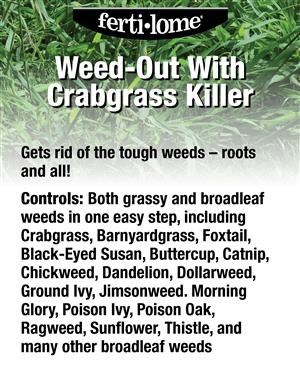 Eliminación de malezas con herbicida para pasto de cangrejo