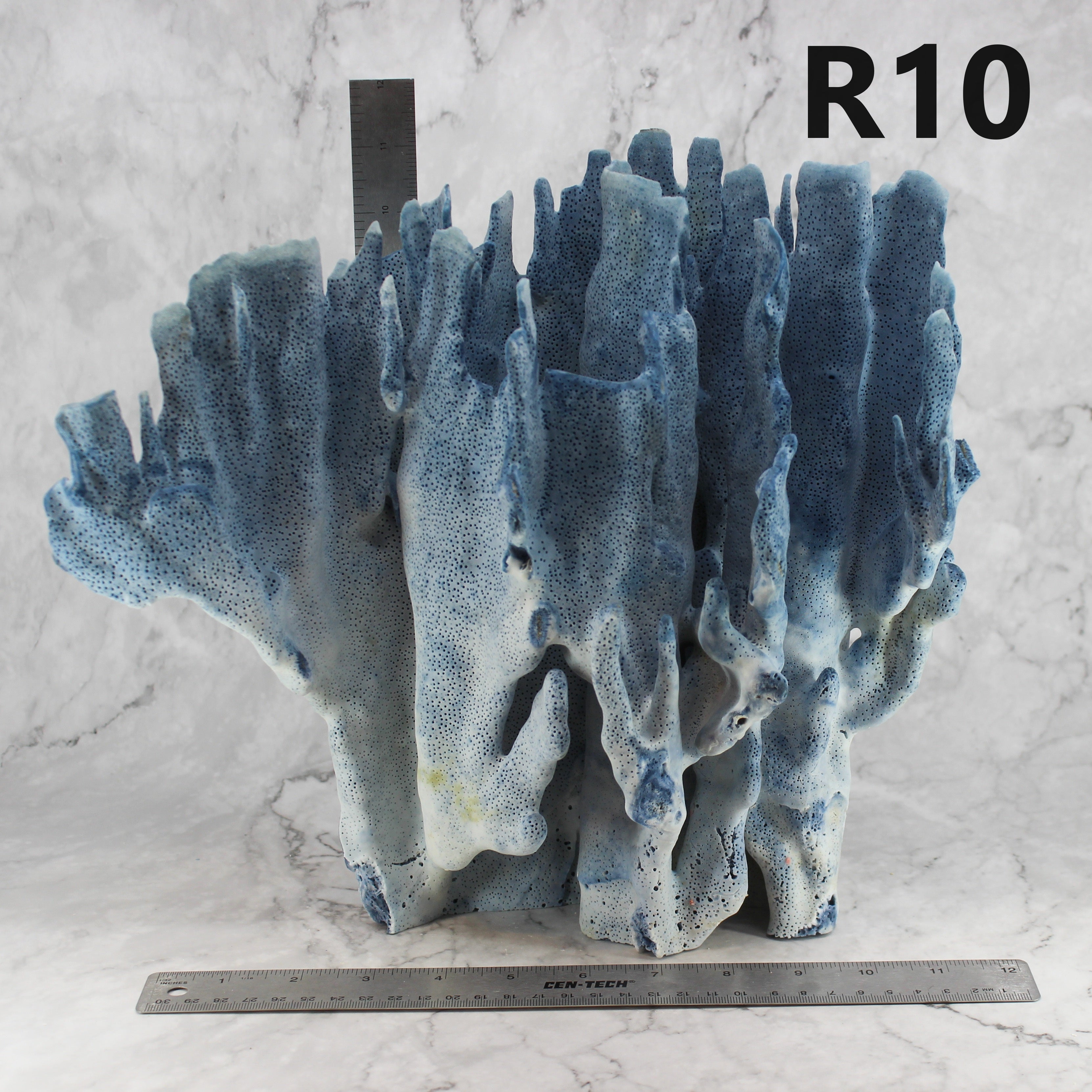 Blue Coral 12-14"