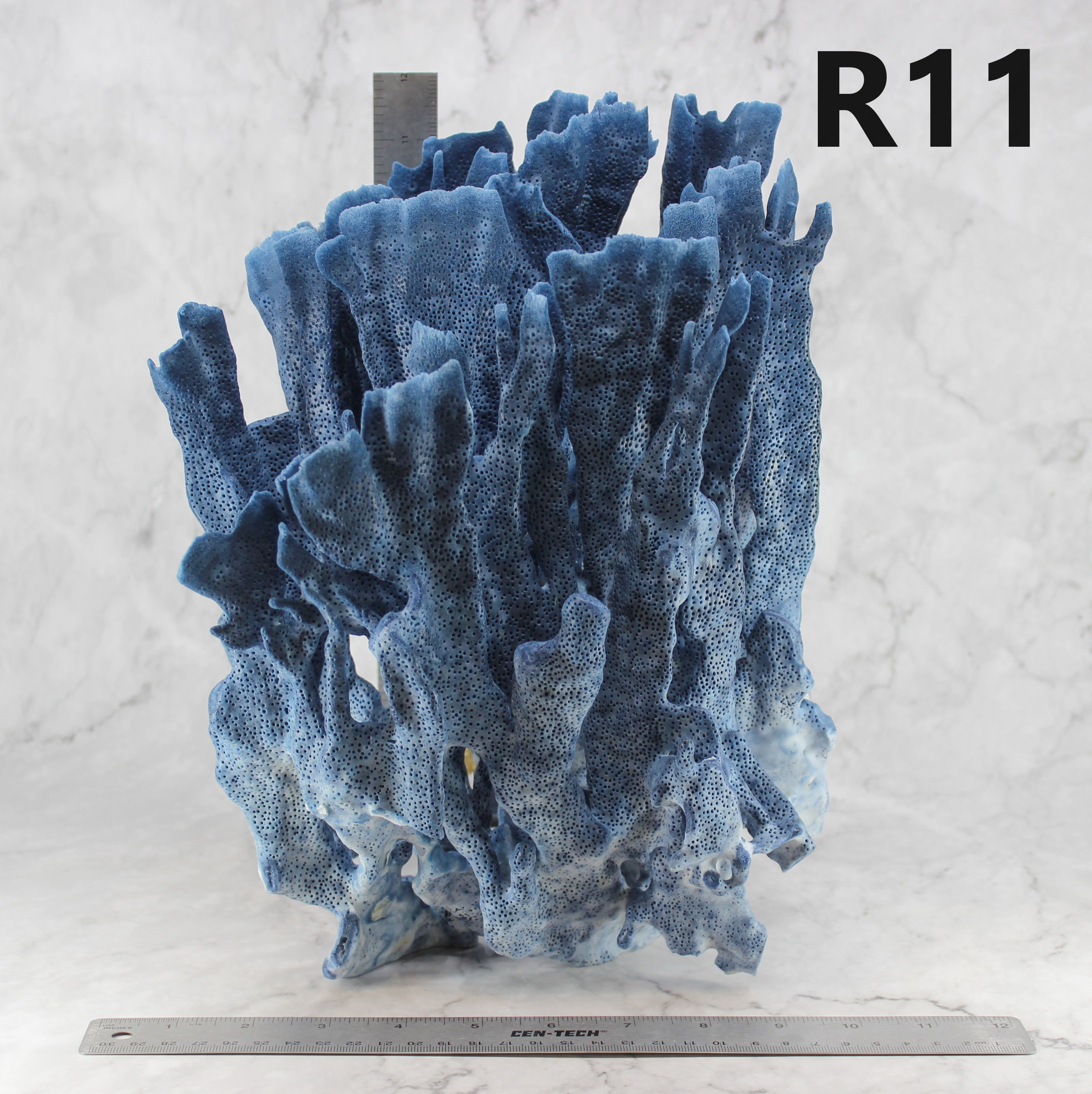 Blue Coral 12-14"