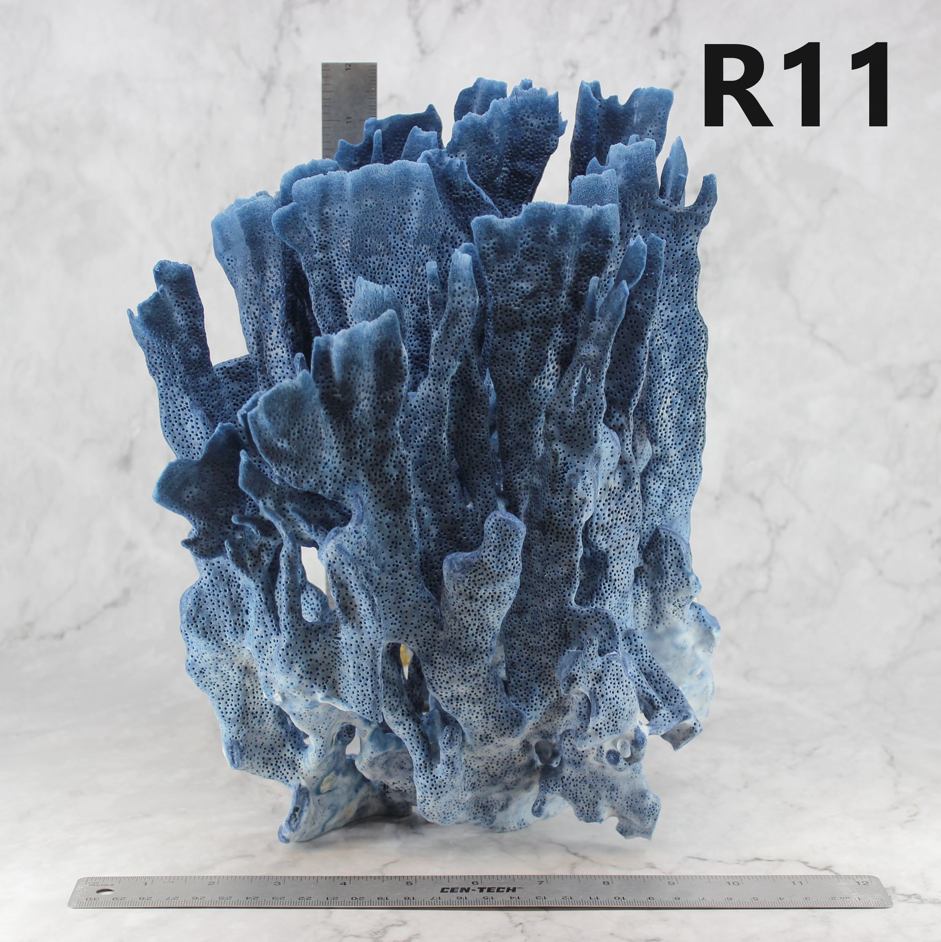 Blue Coral 12-14"