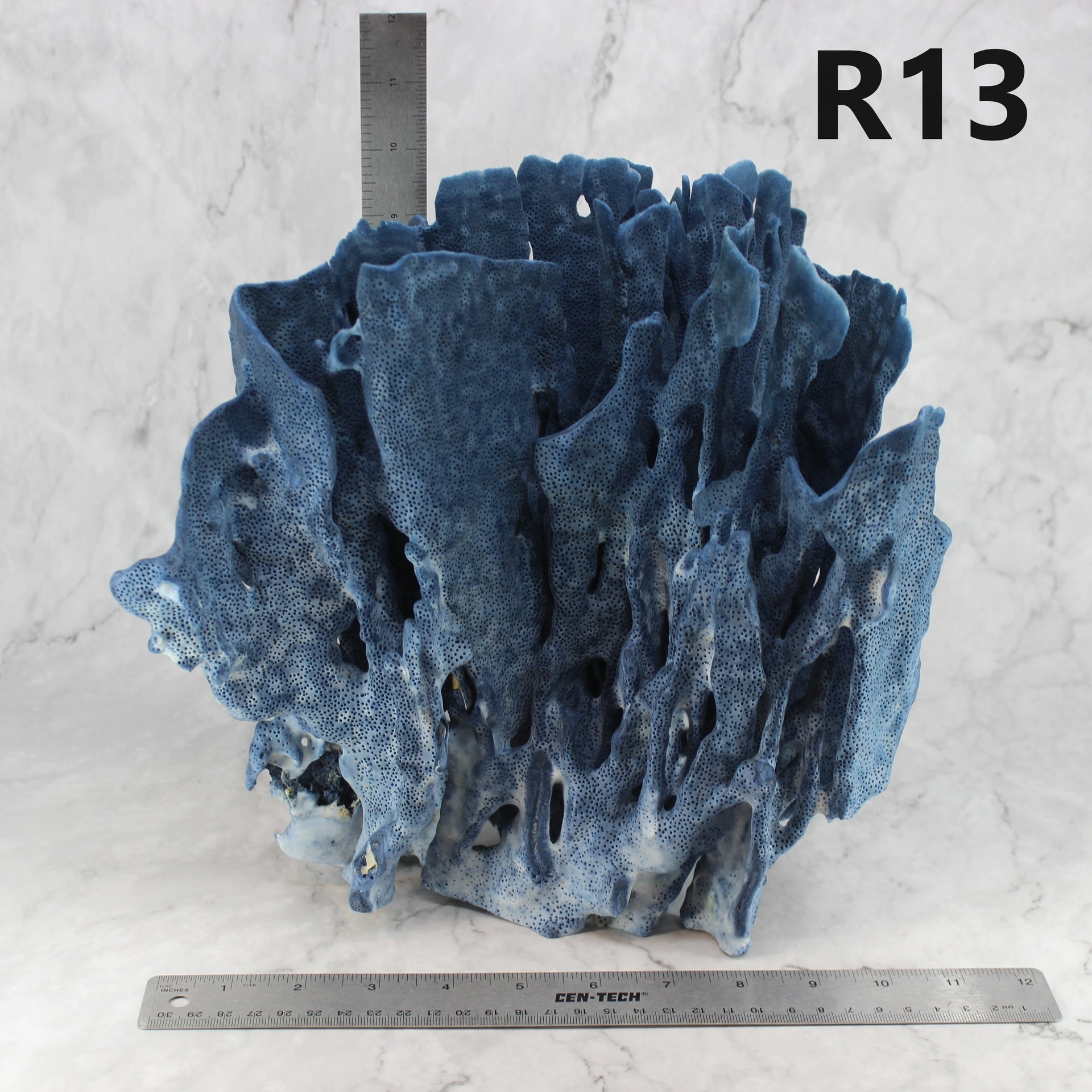 Coral azul 12-14"