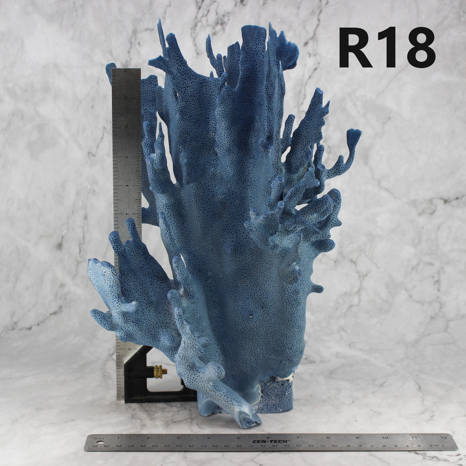 Blue Coral 12-14"