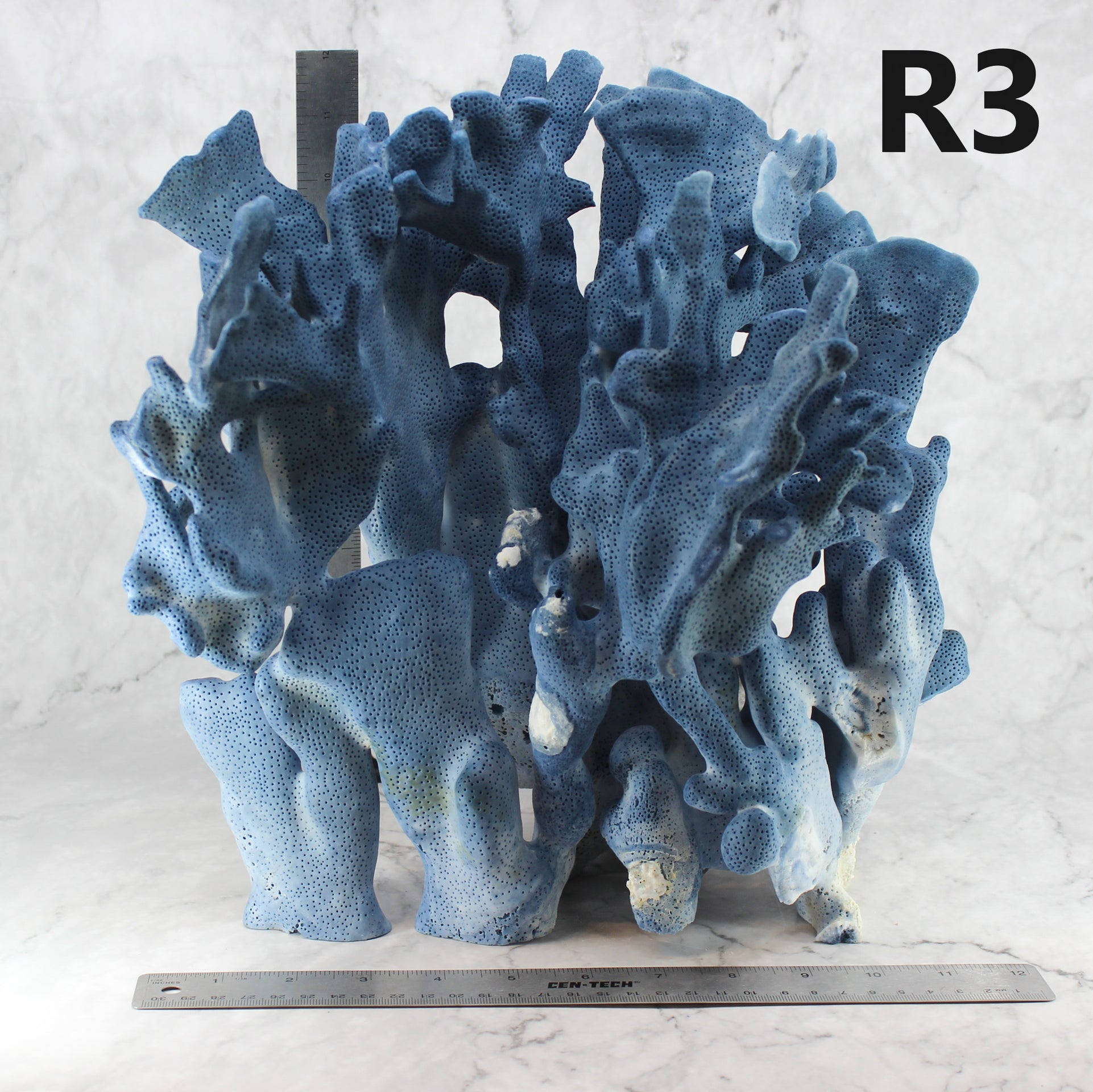 Blue Coral 12-14"