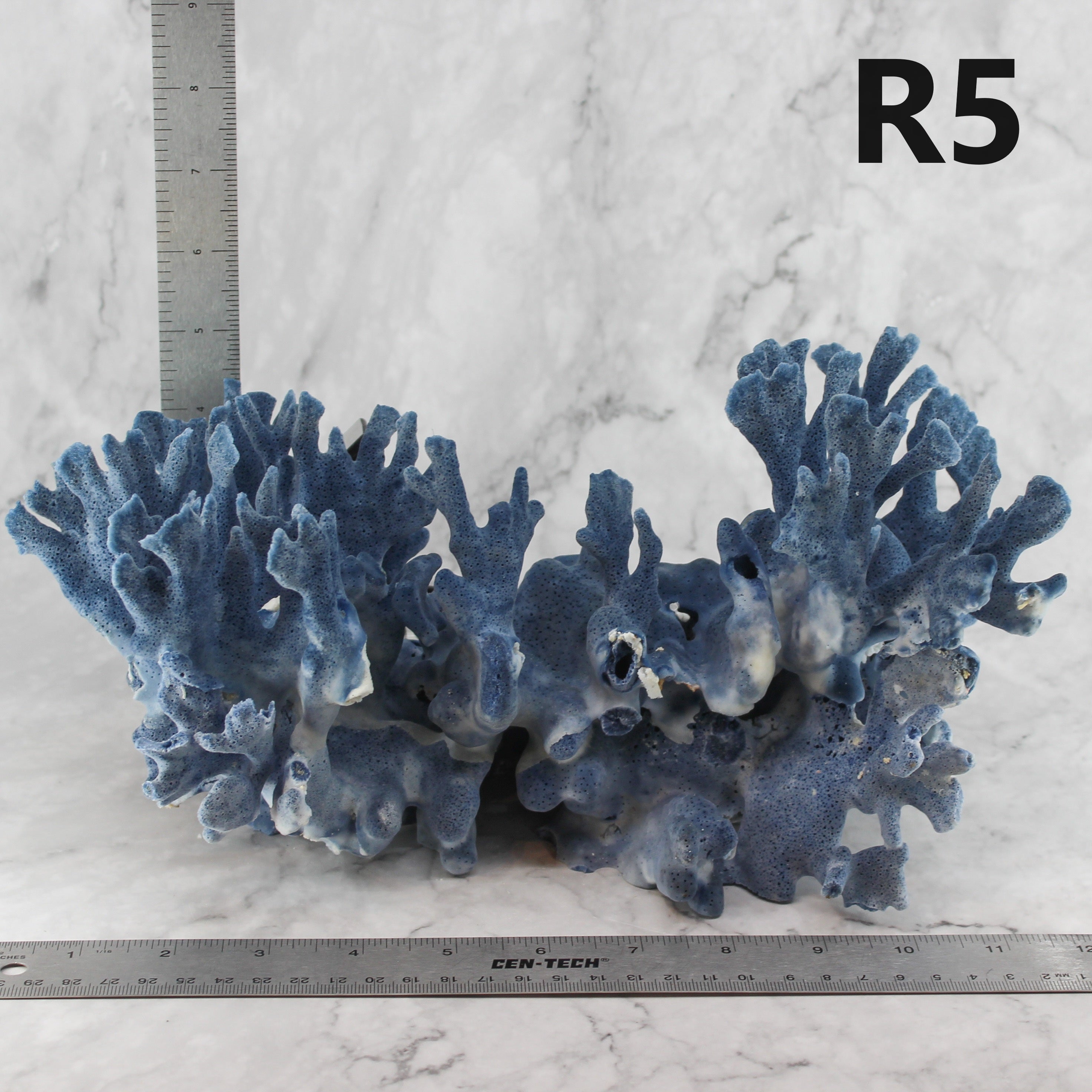 Blue Coral 12-14"