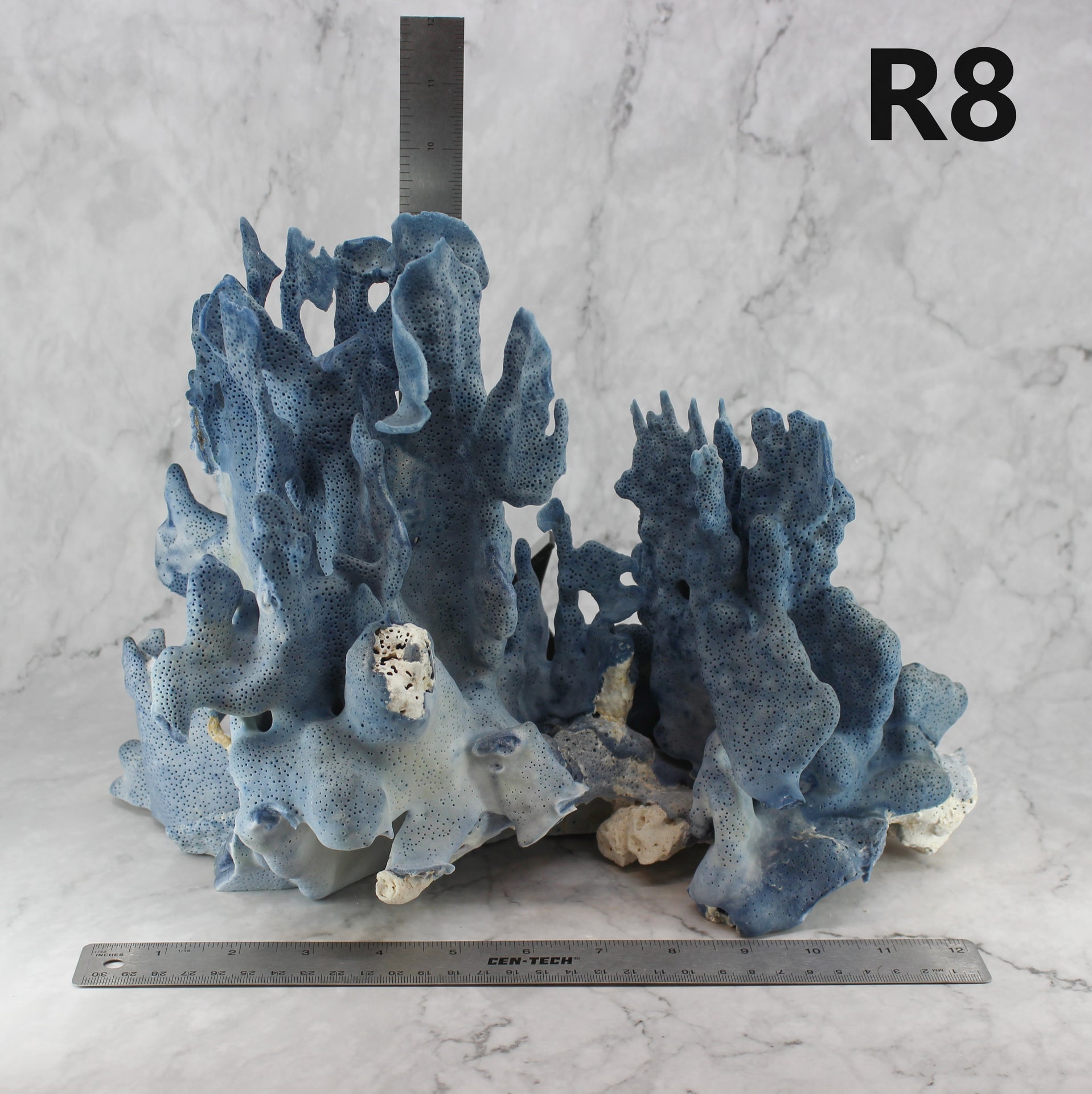 Coral azul 12-14"