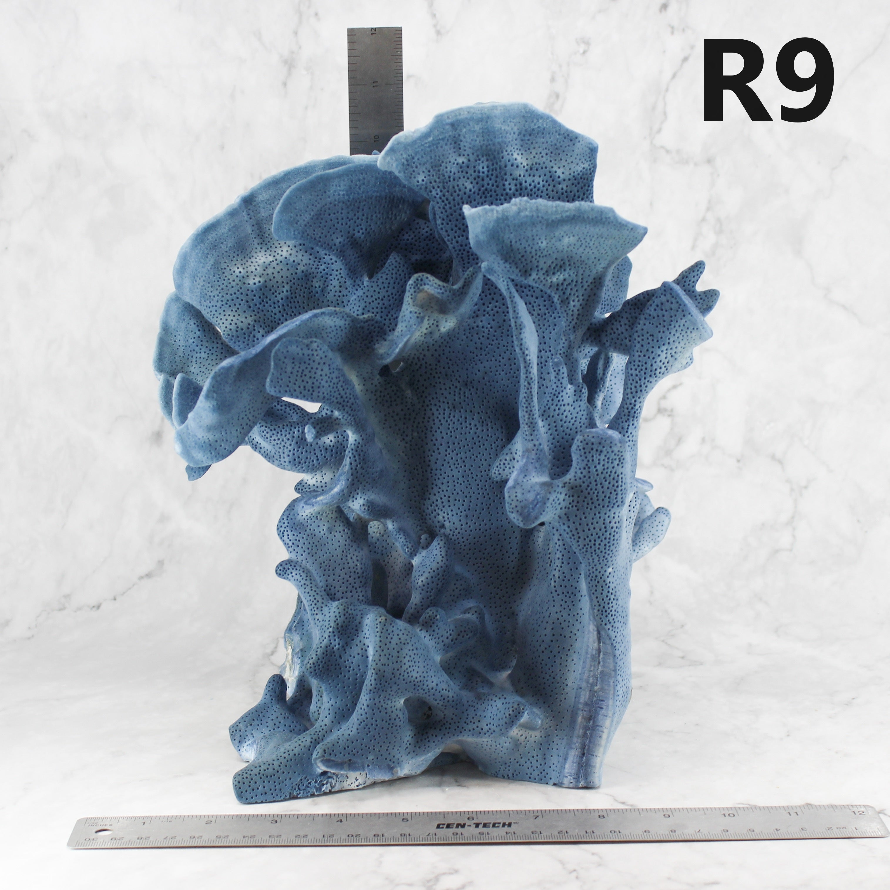 Blue Coral 12-14"