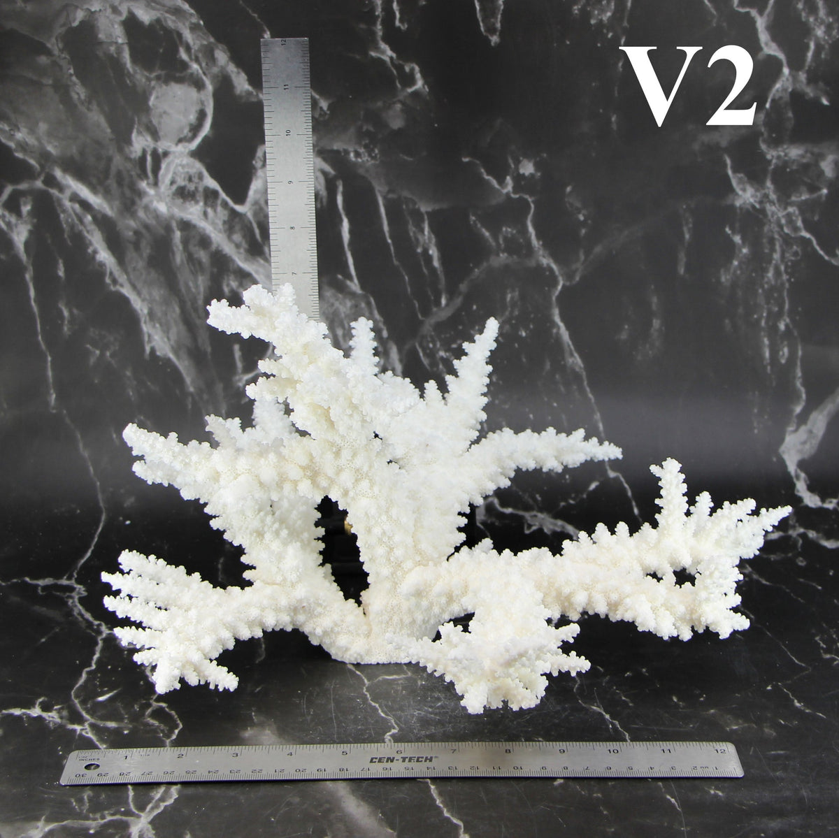 Branch Coral 12-14"