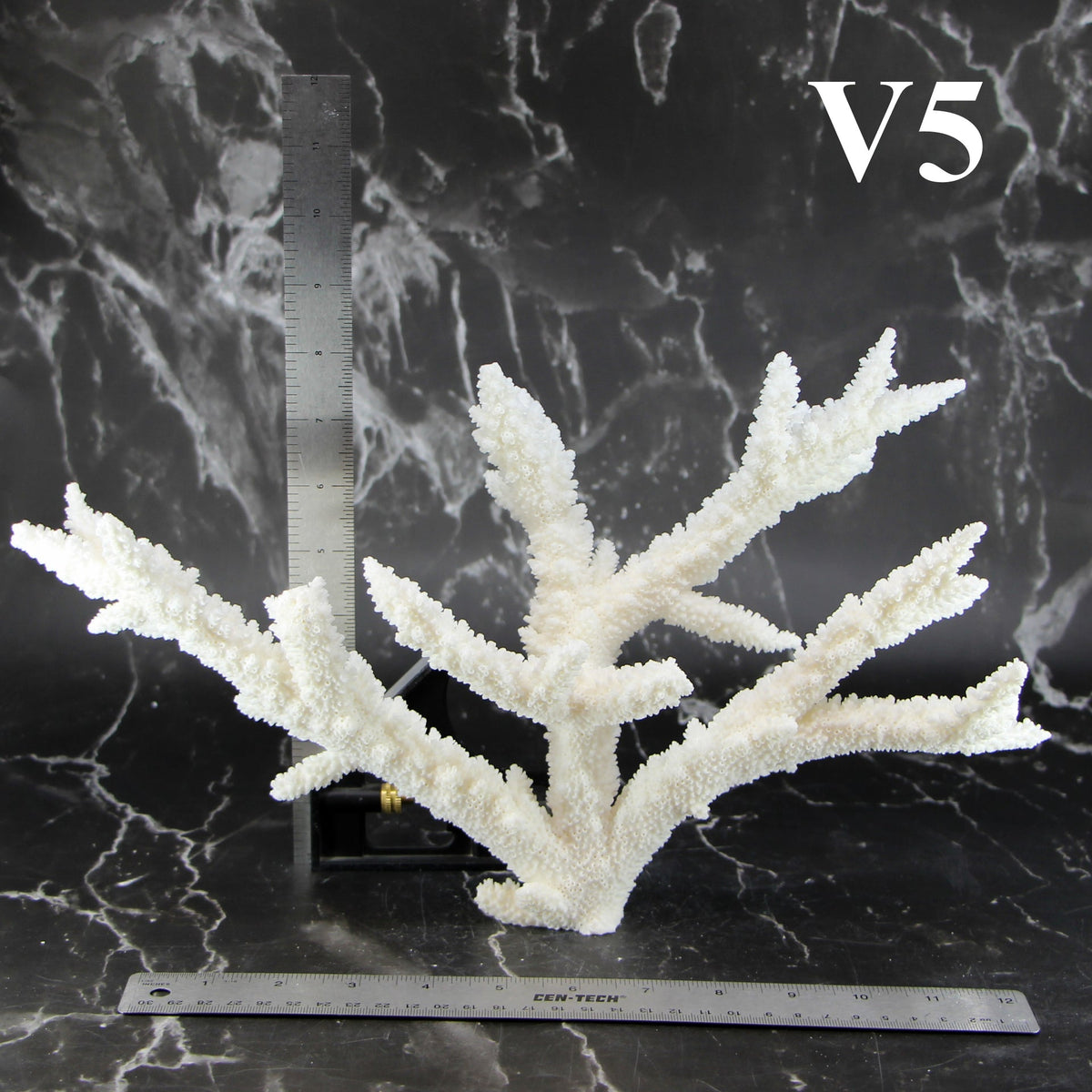 Branch Coral 12-14"
