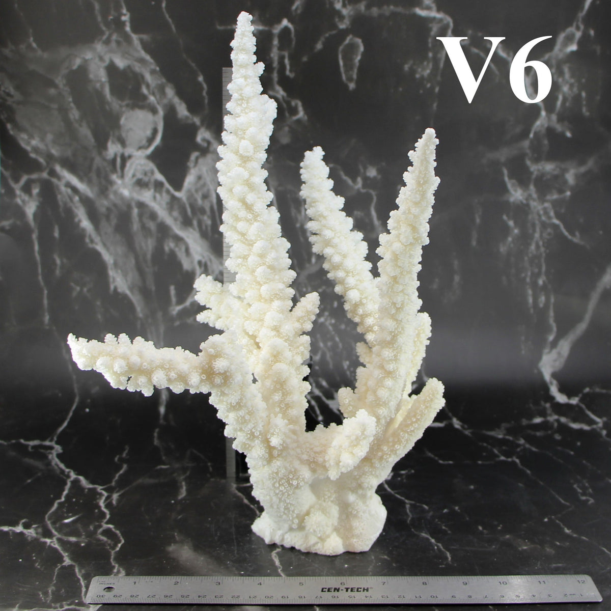 Branch Coral 12-14"