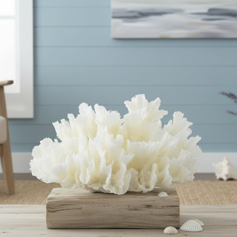 Lettuce Coral 12-14"