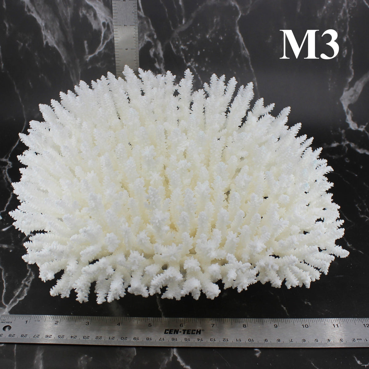 Table Coral 12-14"